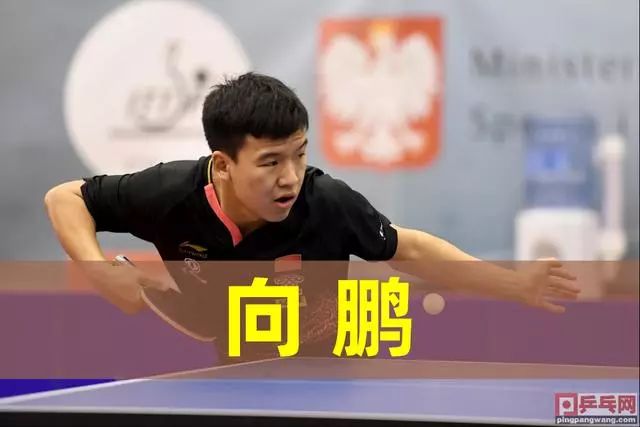 数据分析 数据分析